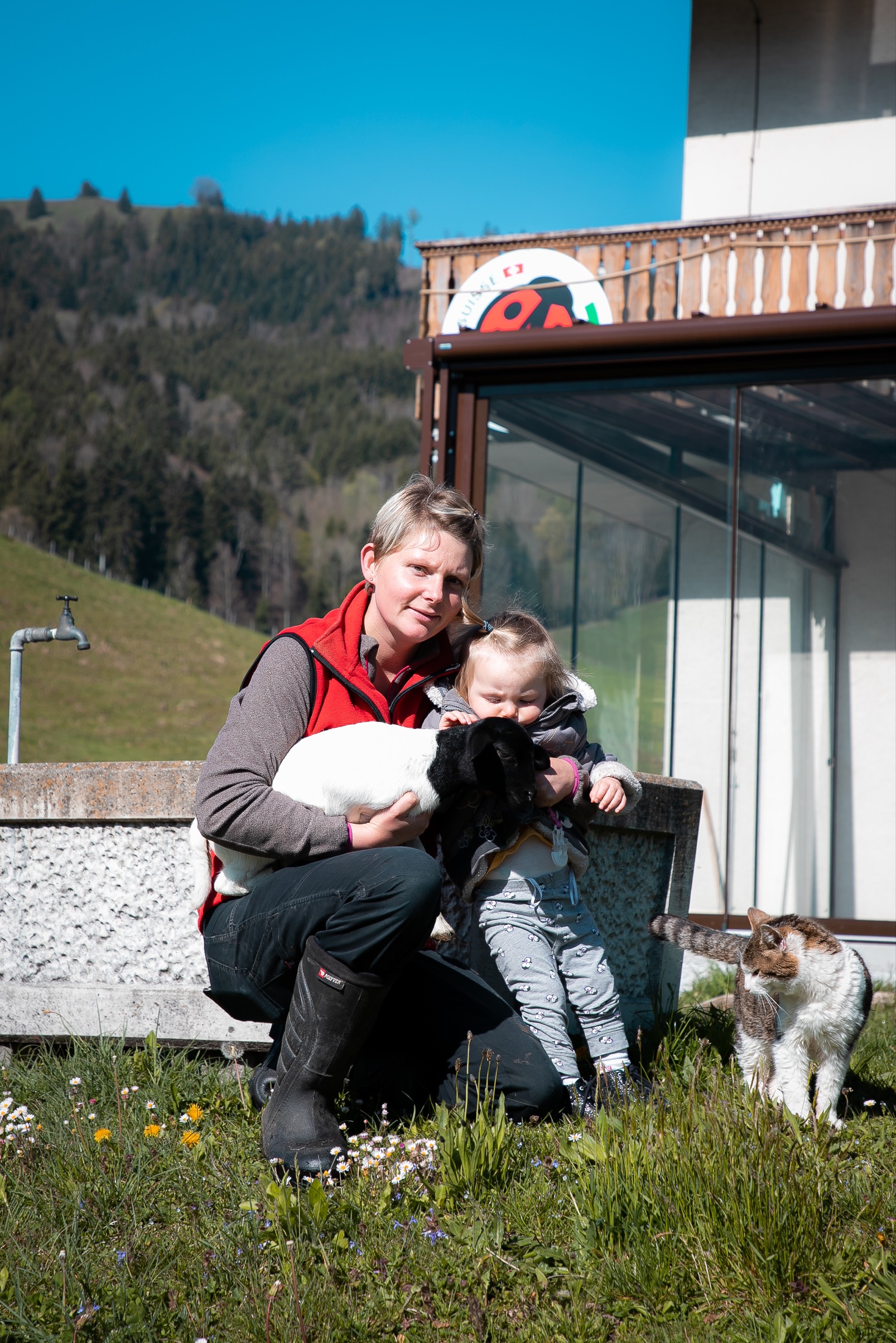 image bergerie du prareman